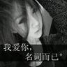 宠物狗知识偶像